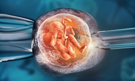 Tüp Bebek Tedavisinde Beslenme Önerileri ve Takviye Kullanımı